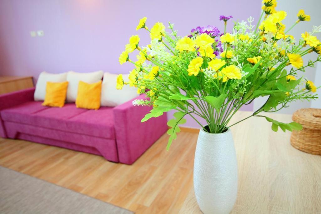 Flowers Apartments Timisoara Exterior photo